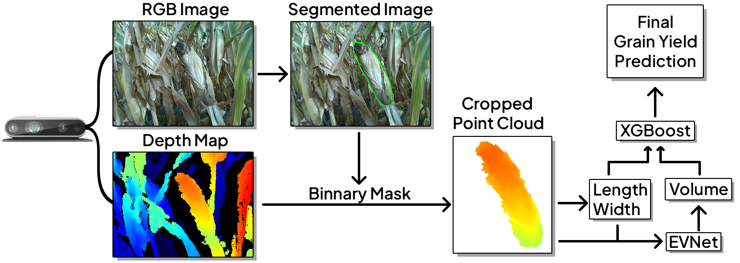 Maize ear sensing pipeline diagram